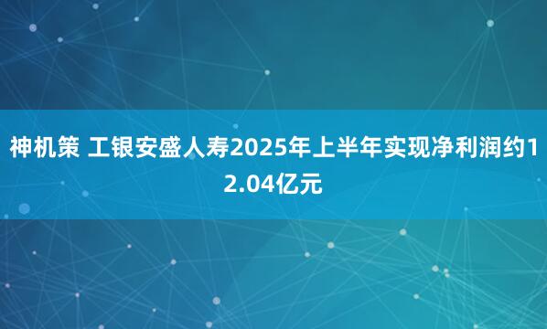 神机策 工银安盛人寿2025年上半年实现净利润约12.04亿元