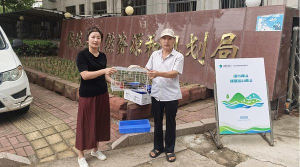 楠希配资 临沭县自然资源和规划局热心救助国家二级保护动物红隼